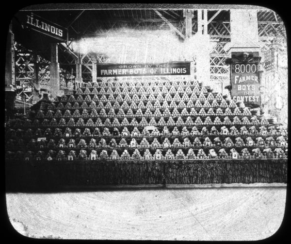Corn on display in stacks, on tables rising up for nine levels, and at the top is a sign that reads: "Grown by the Farmer Boys of Illinois." Lantern slide.