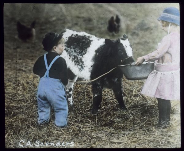 A boy and girl are in a barnyard with a black and white calf. The boy on the left is standing and holding the rope lead. The girl on the right is standing and holding a large bucket for the calf to feed from. Chickens are in the background. Hand-tinted lantern slide.