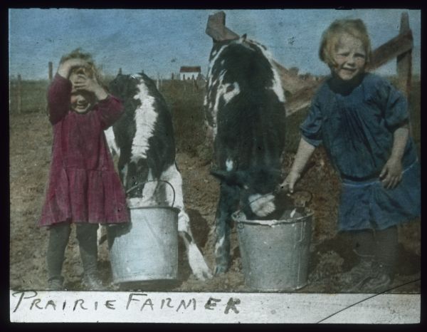 Two girls are standing in front of buckets that two calves are eating out of. Caption at bottom reads: "Prairie Farmer." Hand-tinted lantern slide.