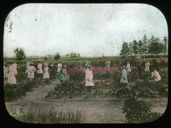 A group of girls and boys are working in a garden. Hand-tinted lantern slide.