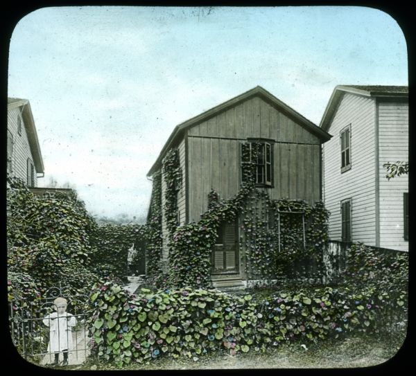 A small child is standing behind a gate in a vine-covered fence. The house in the background is covered in ivy. Possibly the "before" phototograph to precede Image ID: 137693. Hand-tinted lantern slide.