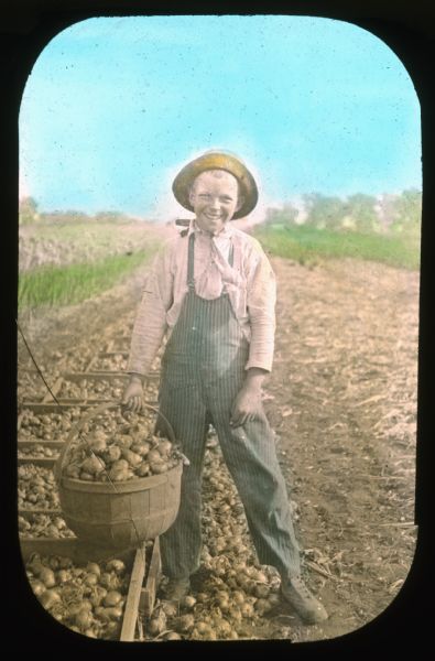 A boy, wearing overalls and a hat, is standing in a field holding a basket of onions. The basket is resting on wooden bins of onions. Hand-tinted lantern slide.