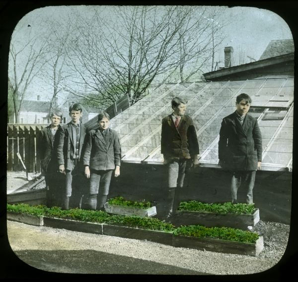Five young men standing among boxes of plants near a school greenhouse. Hand-tinted lantern slide.