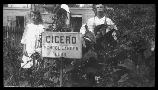Henry and Violet Schmietendorf are standing in a vegetable garden next to a sign that reads: "Cicero School Garden Club." Lantern slide.