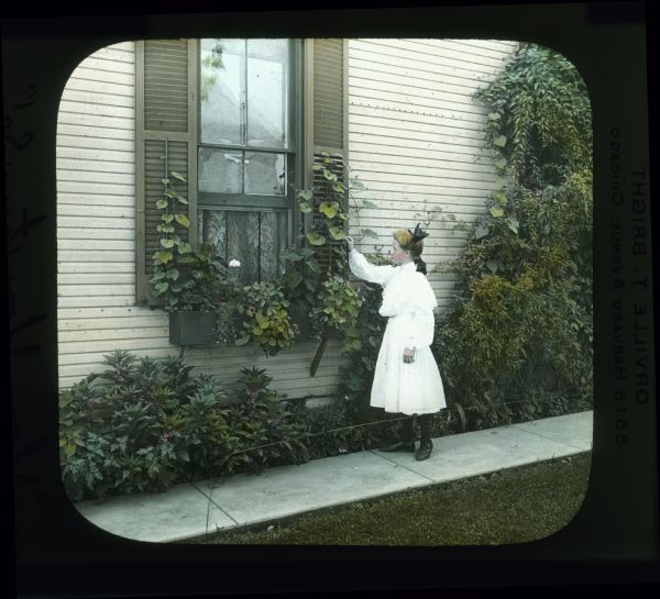 A young girl wearing a white dress and a ribbon in her hair is standing on a sidewalk and reaching up to a vine growing in a window box on the side of a wooden building. Caption reads: "I love, I love them so!" Hand-tinted lantern slide.