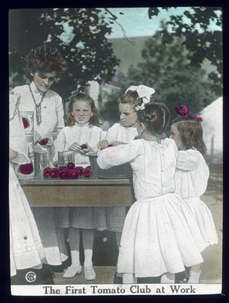 Woman and young girls are standing at a table outdoors. They are cleaning tomatoes in a bowl, and cans of tomatoes are stacked nearby. Hand-tinted lantern slide.