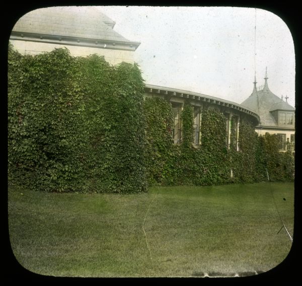 View across lawn towards vine-covered stables, wood bin. Hand-tinted lantern slide.