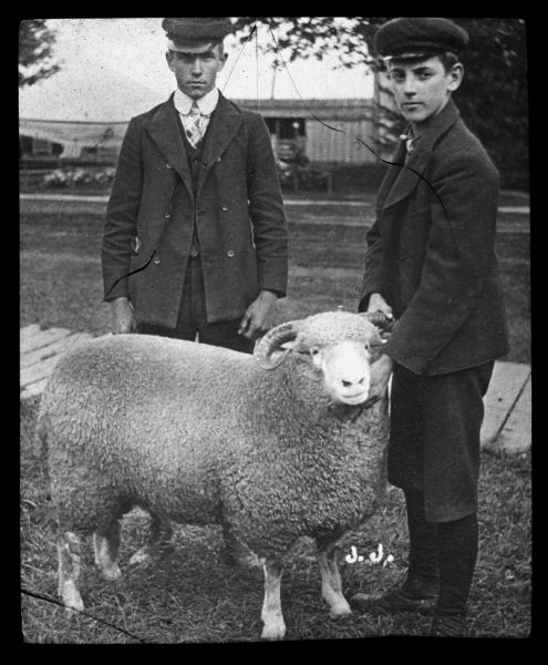 Two men are standing with a ram outdoors. Lantern slide.