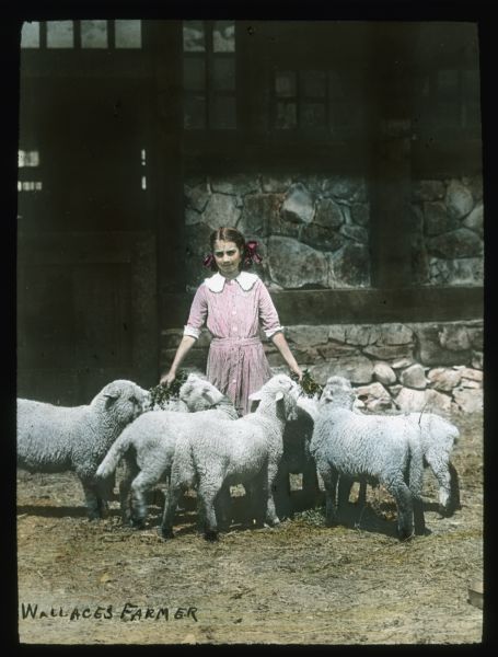 A girl is standing feeding lambs outside. Behind her is a large, stone and wood beam building. Caption at bottom left reads: "Wallaces Farmer." Hand-tinted lantern slide.