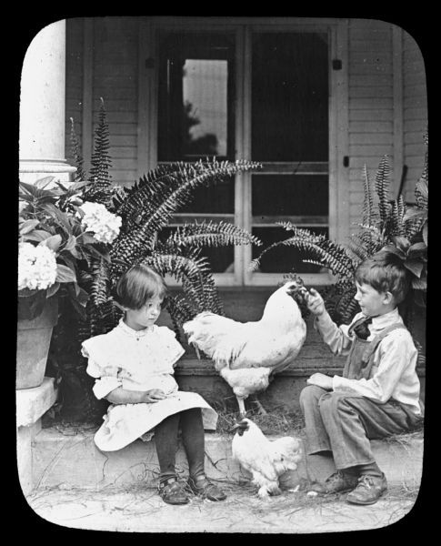 A young girl and boy are sitting on the steps of the porch of a house. two chickens are standing between them. Large, potted flowers and ferns are near the porch columns on the left and right. Caption reads: "Farm pets." Lantern slide.