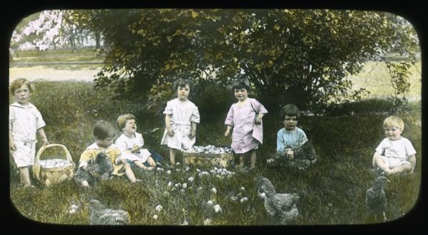 A group of children are sitting and standing in the grass with a group of chickens. There are two baskets on the grass, filled with unknown objects. Hand-tinted lantern slide.