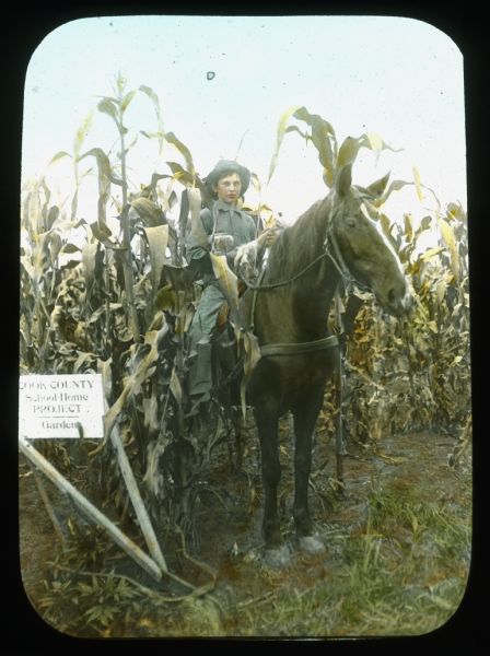 A boy is sitting on horseback in a cornfield holding an ear of corn, near a sign that reads: "Cook County School Home Project Garden." Hand-tinted lantern slide.