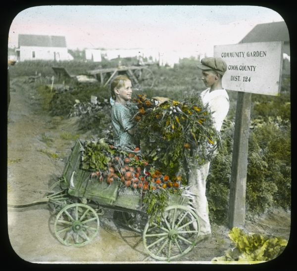 A boy and girl are standing around a cart loaded with vegetables, next to a sign that reads: "Community Garden, Cook County, Dist. 124." Hand-tinted lantern slide.