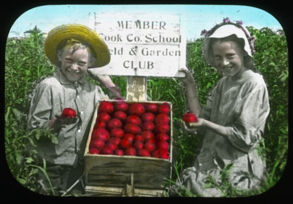 A boy and girl are posing with a box of tomatoes in a field. The sign behind them reads: "Cook Co. School — Field & Garden Club." Hand-tinted lantern slide.