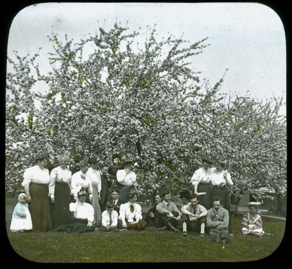 Men, women and children are posing in front of trees with pink blossoms. Farm buildings are in the background. Label on slide reads: "At McClary house, Palos?" Hand-tinted lantern slide.