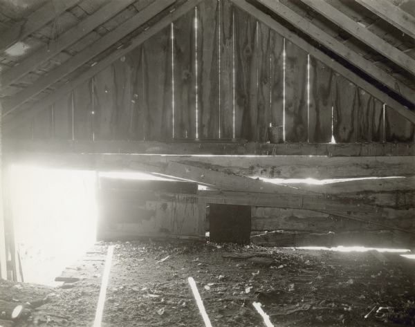 Interior view looking towards front or back wall, with peaked roof. The lower left side of the building is open to the outdoors.