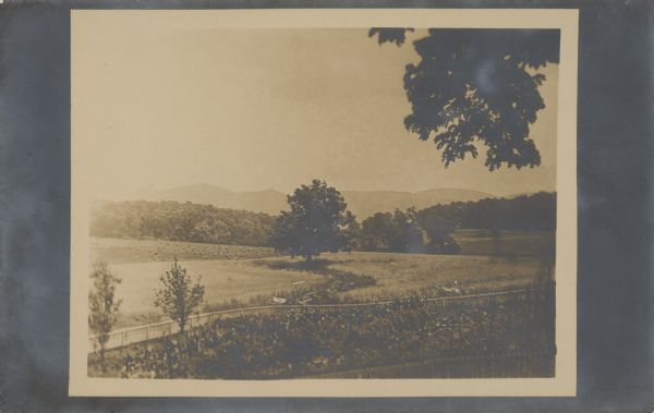 View looking down on fenced fields, with some harvested bundles of what may be hay. There are two reapers parked near the fence. In the distance are mountains. Text on back of postcard reads: "This view of the fields and mts was taken in the yard at Walnut Grove Va. Looking towards Steele Tavern. July 14, 1909." Addressed to Mrs. McCormick, 135 Rush St., Chicago, Ill.