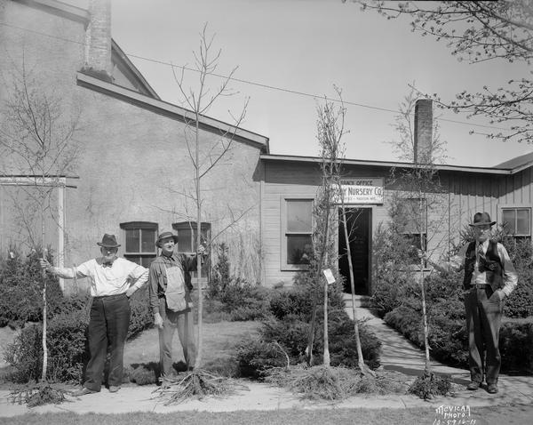 Three men holding up bare root trees at the McKay Nursery Branch Office, 911 University Avenue.
