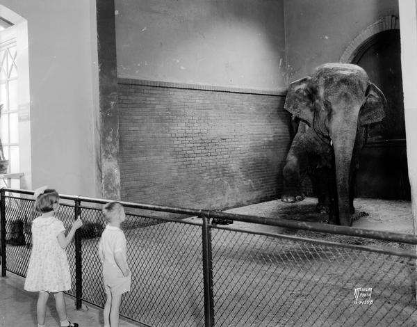 Children watching Miss Annie, an Indian elephant at the Henry Vilas Zoo (Vilas Park Zoo). Annie died Feb. 24, 1948 and was replaced by a "new Annie."