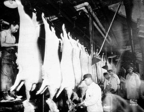 Butchering Hogs | Photograph | Wisconsin Historical Society