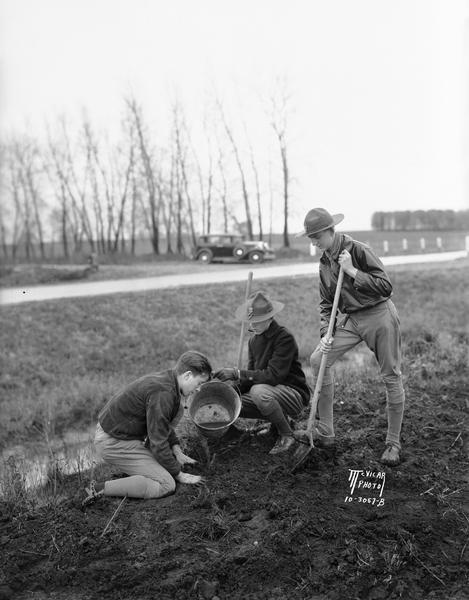 Boy Scouts planting a Norway spruce tree on "George Washington Drive," a stretch of road a mile long on Highway 51, extending north from the intersection with Highway 19.