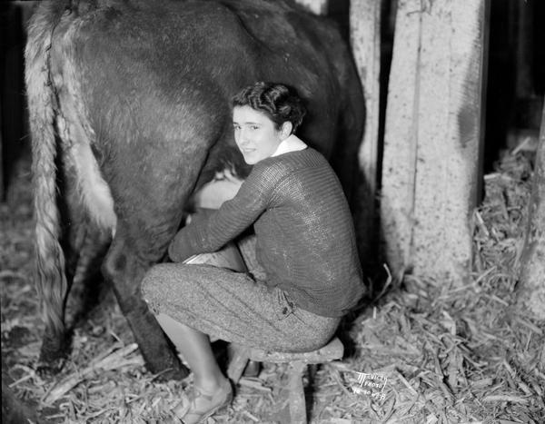 Marian Dolan, 1931 National 4-H milking champion, milking a cow. She is a member of the Maple Knoll 4-H Club north of Sun Prairie.