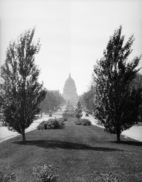 View of the Wisconsin State Capitol from the center of East Washington Avenue, looking through two trees planted on a wide grassy median.