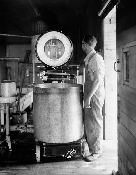 A man weighing a large container on a Toledo platform scale at the Federation Creamery.