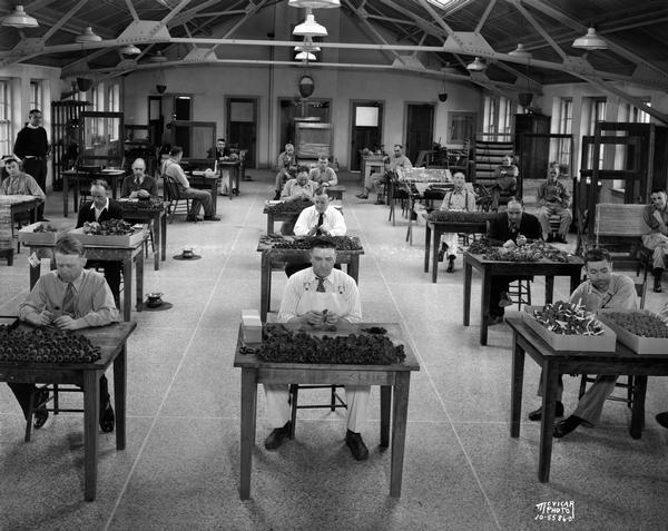 Elevated view of veterans sitting at individual tables in the occupational therapy room, making poppies in the Wisconsin Memorial Hospital. The hospital is located on Farwell Point adjoining Mendota Mental Health Hospital.