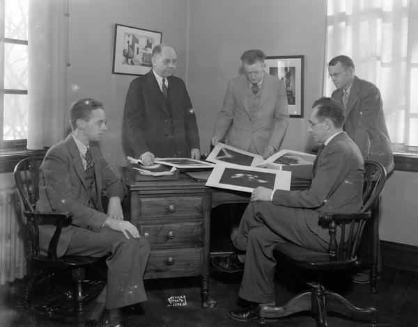Five men from the University of Wisconsin-Madison Camera Club. They are looking at photographs in Porter Butts' office at the Memorial Union.