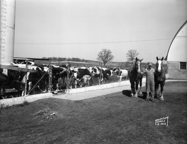 Wisconsin Conference of Seventh Day Adventists farm on Duborg Road off of Highway 16 west of Columbus, Wisconsin. A farmer is holding two horses next to a fenced cow herd.