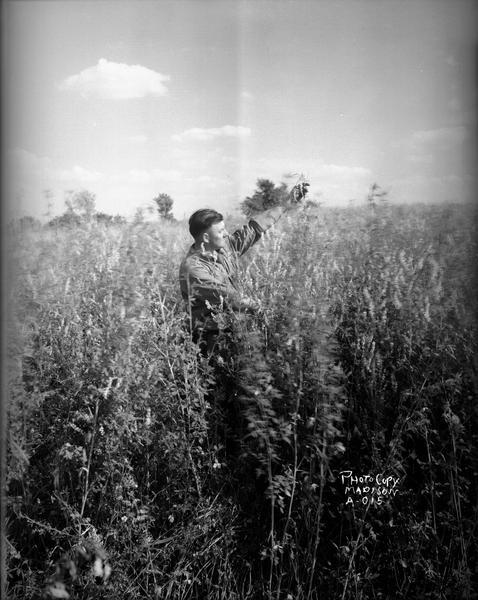 A man standing in field of high clover.
