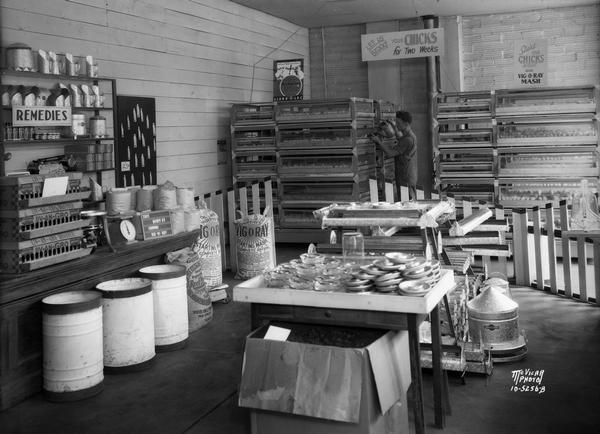 Interior of Klinke Hatchery, 1918 Winnebago Street, with employee pouring water into tray of chicken cages, and bags of Vig-o-ray starting mash in view.