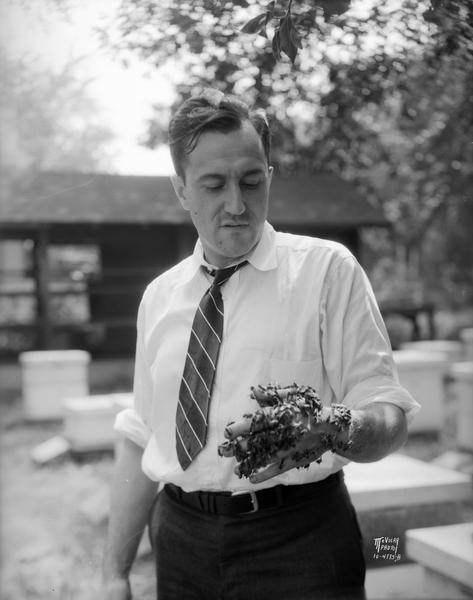 Portrait of Erwin Alfonsus, University of Wisconsin entomology department's "bee man," with hand covered with bees. There are beehives in the background.