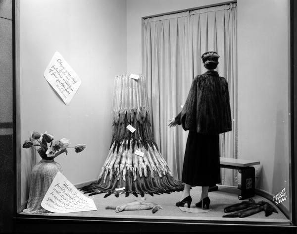 Show window containing a mannequin wearing a mink stole, and a display of mink pelts and dressed skins at Master Furriers, 11 West Main Street.