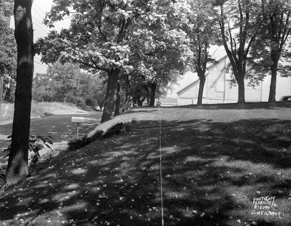 Freda Winterble property, 901 University Bay Drive, looking north toward Lake Mendota. In the distance a man is holding a white rope to show where the new road will go.