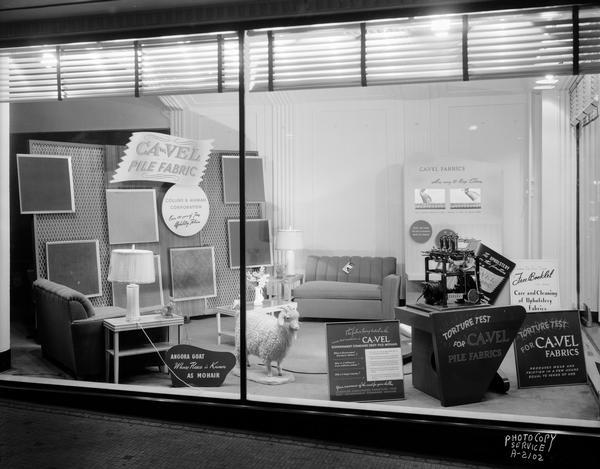 CA-VEL fabrics window display at Leath's furniture store, 117 State Street, showing a living room scene with panels of CA-VEL deep pile mohair upholstery fabrics, an angora goat whose fleece is known as Mohair, and fabric torture test machine. Taken for Collins & Aikman Corp., with over 100 years of fine upholstery fabrics.