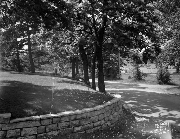 Road and stone retaining wall in front of Freda Winterble property, 901 University Bay Drive, looking toward the Timlin Lumber Company, 2702 University Avenue.