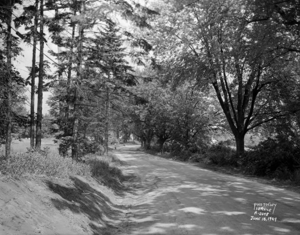 Freda Winterble property, 901 University Bay Drive, looking north toward Lake Mendota, showing large trees on adjoining property.