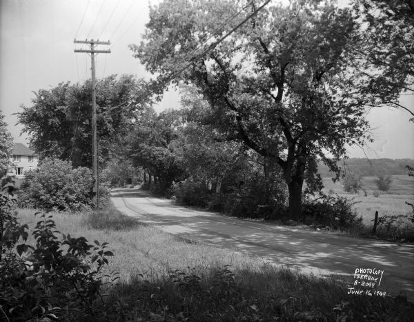 Freda Winterble property, 901 University Bay Drive, looking north toward Lake Mendota, showing trees on right side of road and house on the left, 928 University Bay Drive.