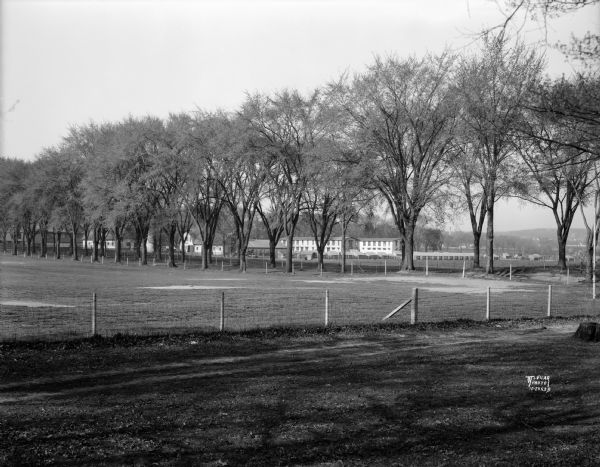 View across fence and field, looking through elm trees towards barns on the University of Wisconsin-Madison campus.