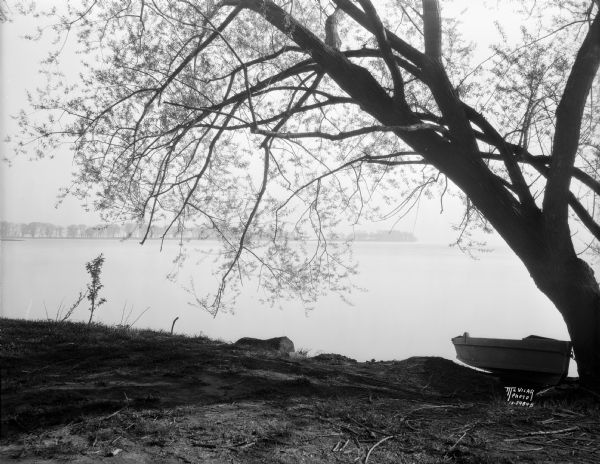 View across Lake Mendota towards Picnic Point, framed by a willow tree, and a rowboat pulled up on the shoreline.
