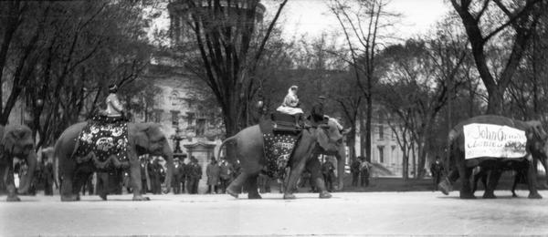 Snapshot by Madison butcher Earl Omen of elephants parading past the Monona Avenue gate of the third Wisconsin State Capitol.
