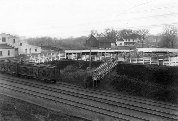 Elevated view of cattle yards near the railroad tracks. A farm and farm buildings can be seen in the background.
