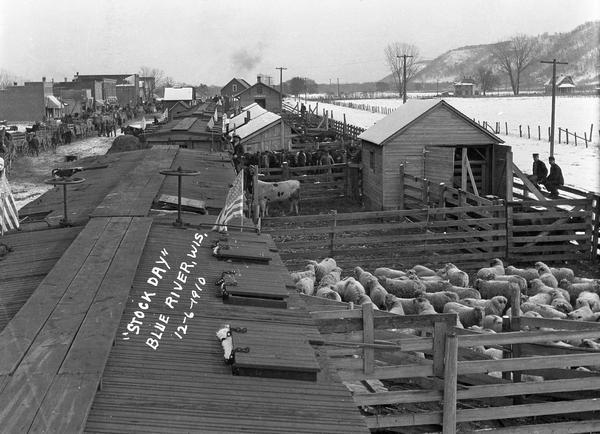 Elevated view of stock day at the railroad yards, showing pens of sheep and other livestock ready for loading into railroad cars.  All of the cars are decorated with American flags. In the background is the railroad station, and many farm wagons are parked along the main street.