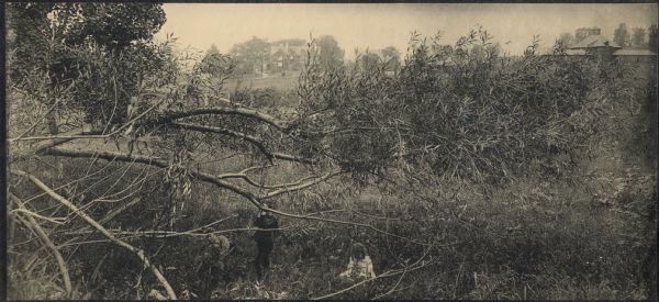 Three children playing under a fallen tree outside of Hillside Home School, an early progressive school operated by Ellen and Jane Lloyd Jones, aunts of Frank Lloyd Jones.