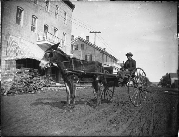 Mule hitched to training cart, with driver, on a town street, possibly Alma.