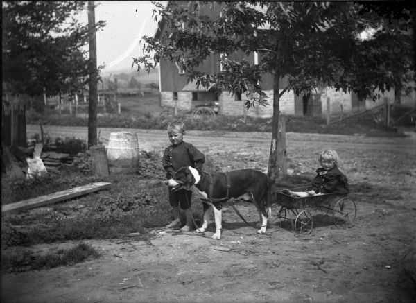 Two small children in a rural setting with a dog harnessed to a wagon.