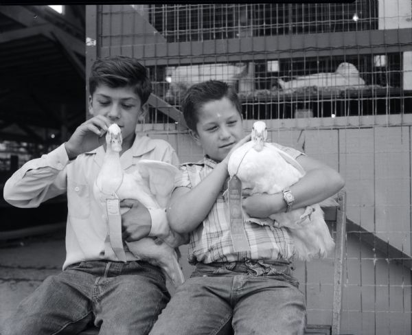 Two young boys and their prize-winning ducks at the 1955 Wisconsin State Fair.
