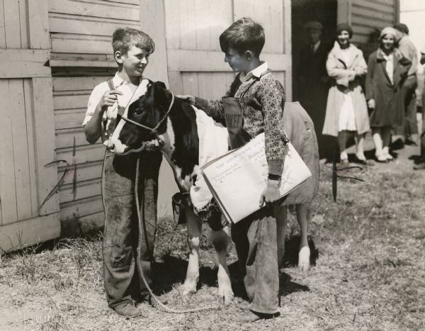 The country meets the city as a "Milwaukee Journal" newsboy admires the calf entered in the animal judging competition by a young boy from the country.